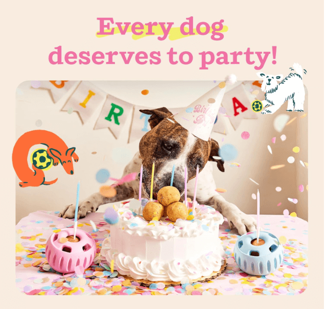 Woof Dog Pupsicle Birthday Pops Refills - Cake-Flavored Birthday Treat for Dogs - Small