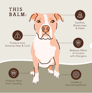 Natural Dog Company PawTection Paw Protector Balm