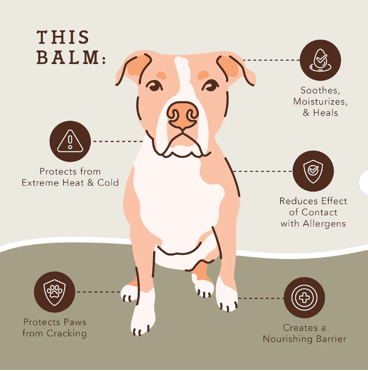 Natural Dog Company PawTection Paw Protector Balm