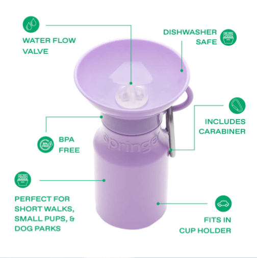 Springer Mini Dog Travel Bottle, 15 oz