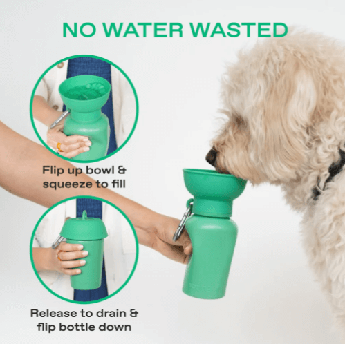 Springer Flip Travel Water Bottle for Dogs - 20 oz