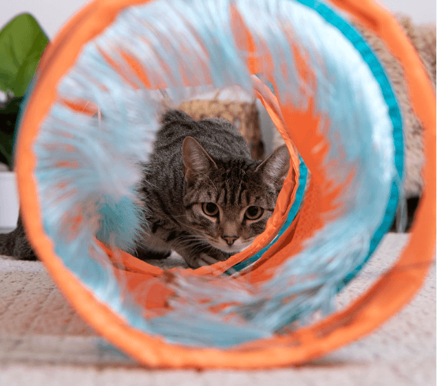 SmartyKat Instincts Teaser Tunnel Activity Cat Toy