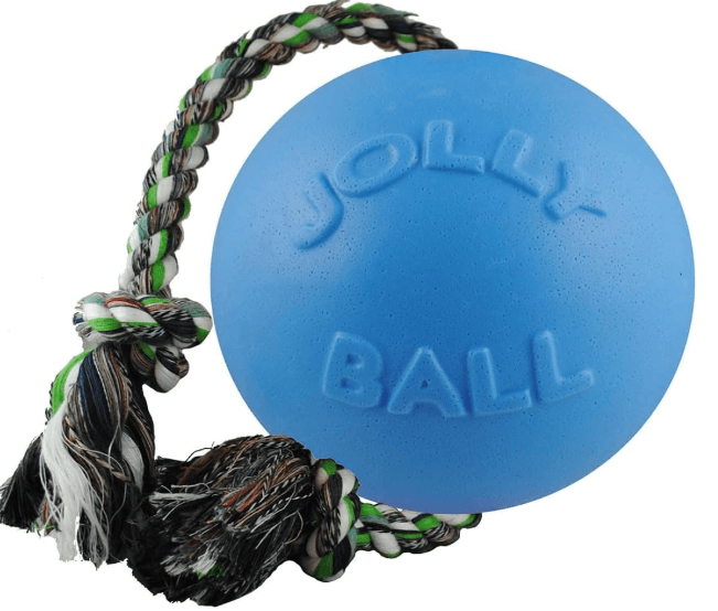 Jolly Pets Romp-N-Roll, Small (4.5")