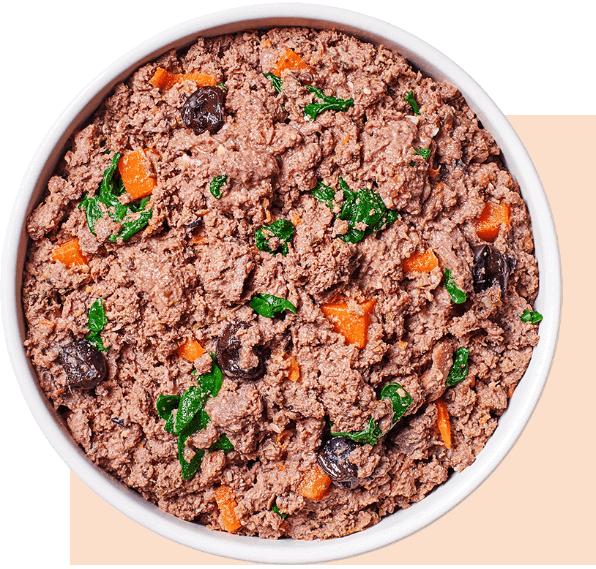 Instinct FreshRaw Meals Grass-Fed Lamb Recipe for Dogs