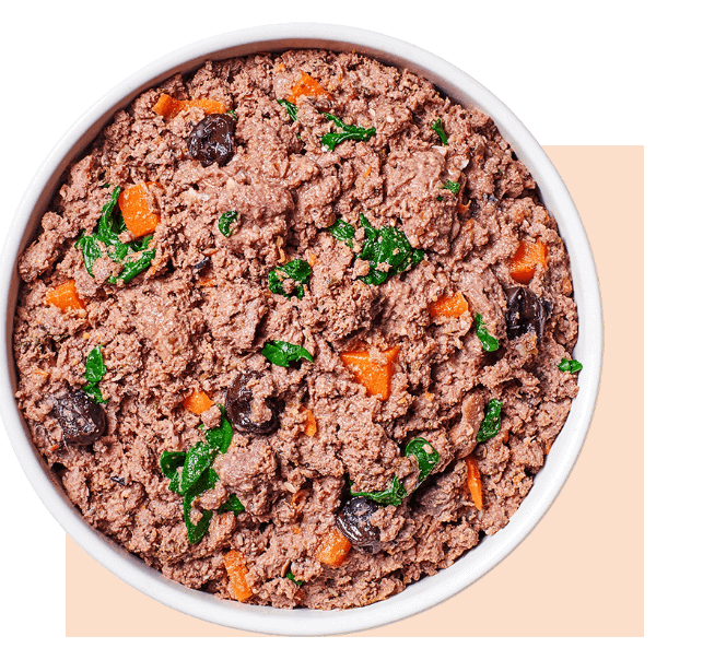 Instinct FreshRaw Meals Grass-Fed Chicken Recipe for Dogs