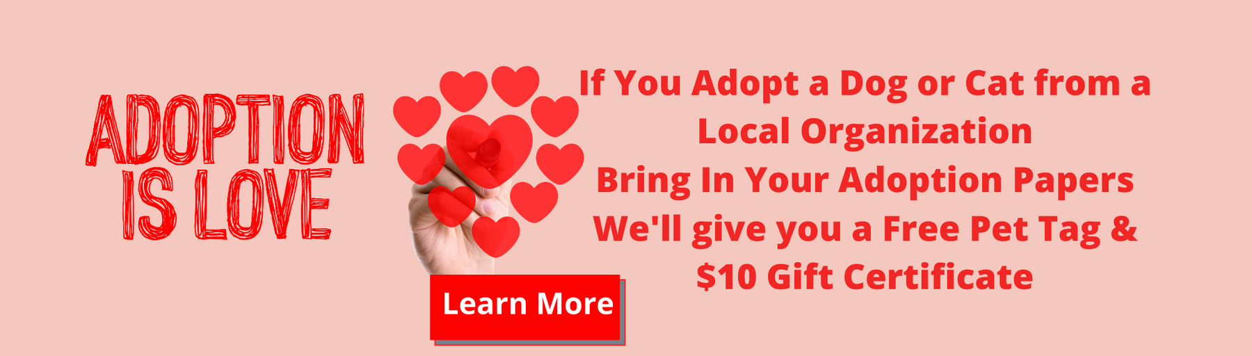 
        
          Jake's is proud to support and recommend many of the local rescue groups and shelters in Palm Beach County. Among them are Danny & Ron's Rescue, Big Dog Ranch Rescue, Kibblez of Love, Amber's Animal Outreach, Justin Bartlett Animal Rescue, Palm Beach Shel
        
      