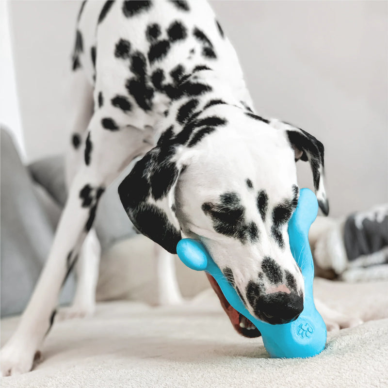 West Paw Tizzi - Large, Blue, Dog playing