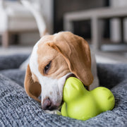 West Paw Tux - dog chewing toy.