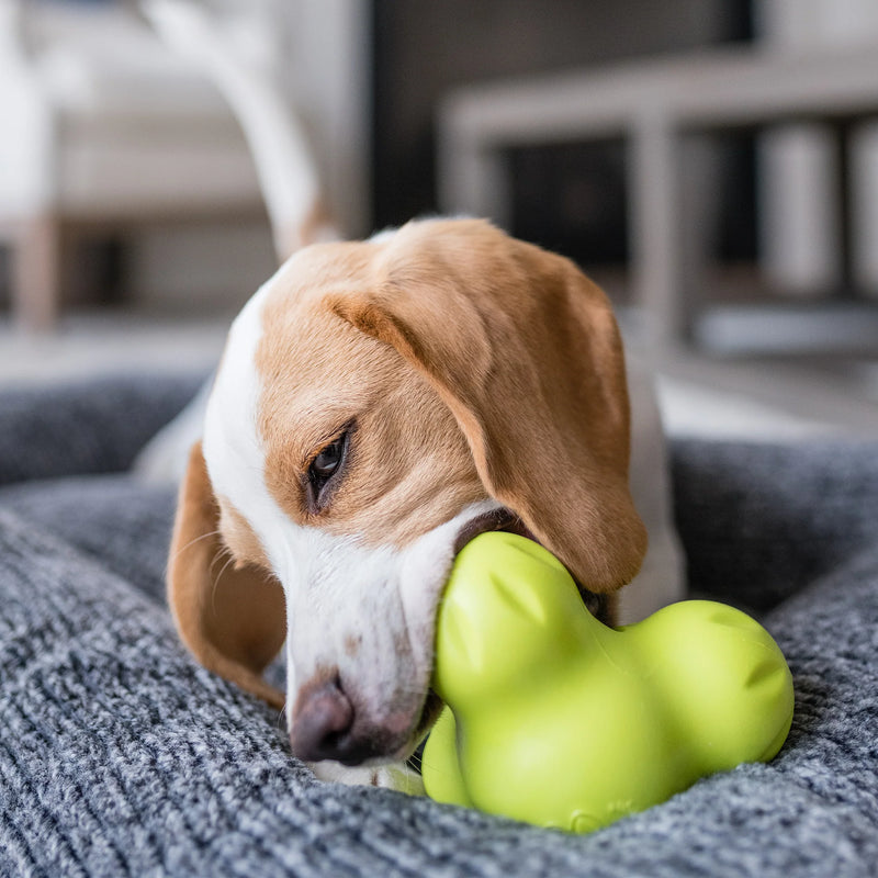 West Paw Tux - dog chewing toy.