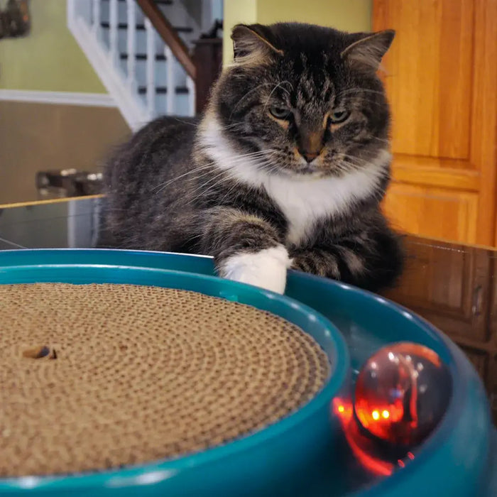 Star chaser cat sales toy