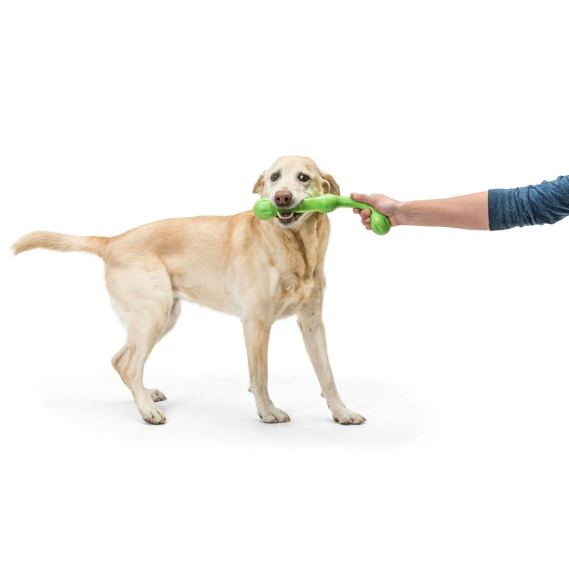 West Paw Zwig Dog Toy, dog playing.