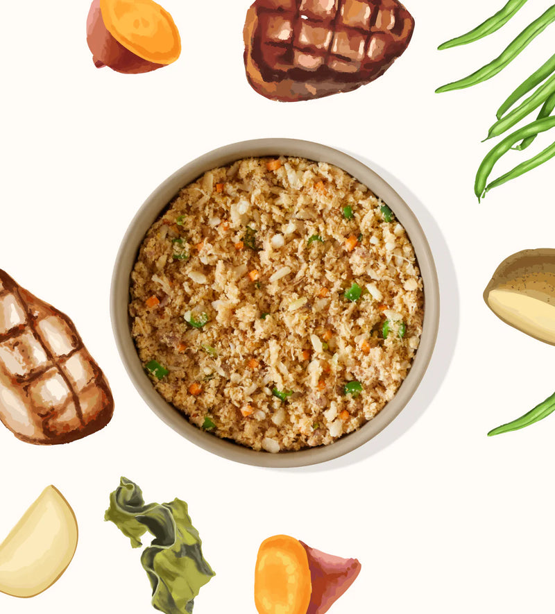 My Perfect Pet Boomer's Chicken & Beef gently cooked dog food served in a bowl with fresh vegetables. Sold at Jake's Pet Supply Boca Raton Lake Worth