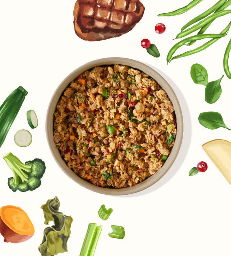 My Perfect Pet Knight's Beef gently cooked dog food served in a bowl with fresh vegetables. Sold at Jake's Pet Supply Boca Raton Lake Worth