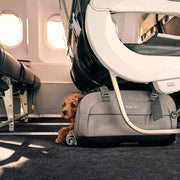 Tavo Dupree airline compliant pet carrier