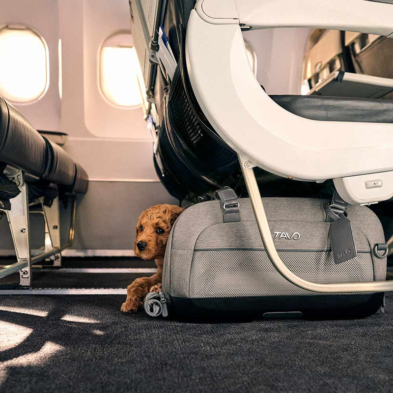 Tavo Dupree airline compliant pet carrier