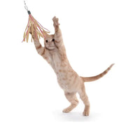 Dezi & Roo Cat Toy Wand Attachment, Cuttlefish