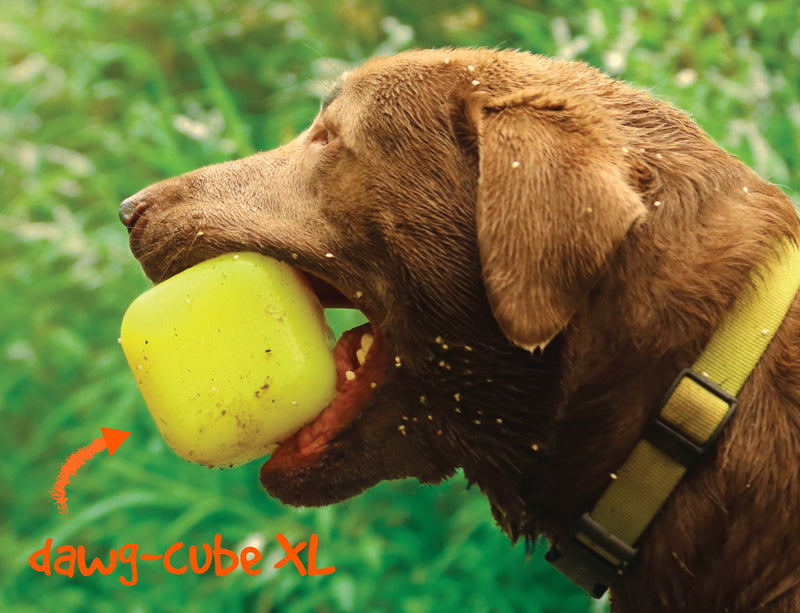 ruff dawg dawg-cube XL mult-color