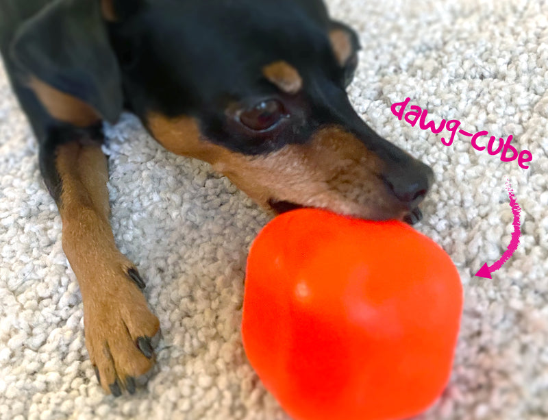 ruff dawg dawg cubes mult-color