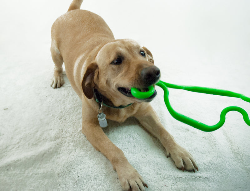 Ruff Dawg Supertug Dog with Toy