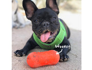 ruff dawg weenut orange