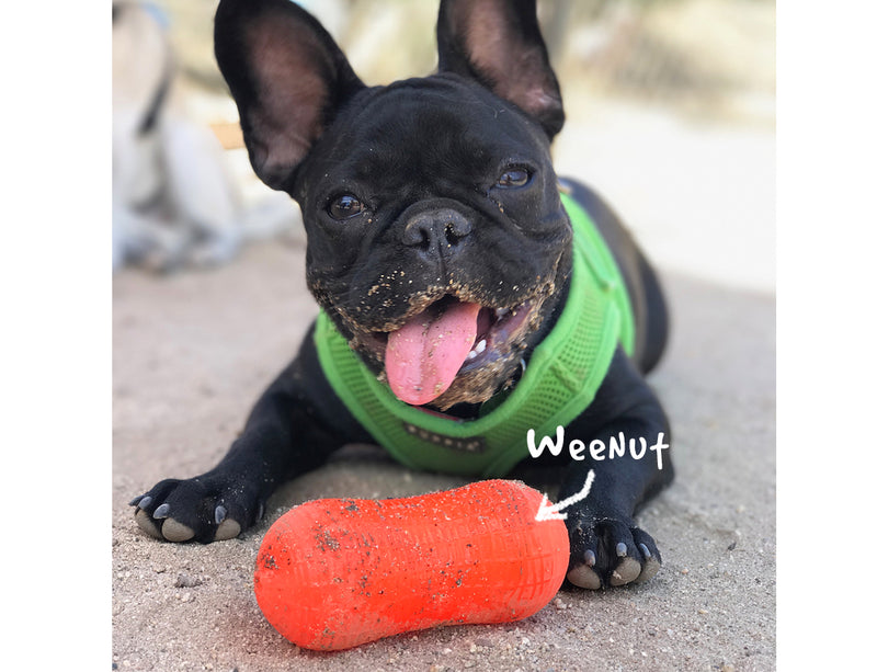 ruff dawg weenut orange