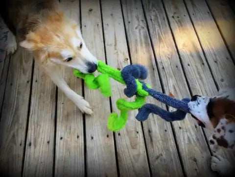 Cycle Duraplush Dog Springy Thing Dog Toy, Medium