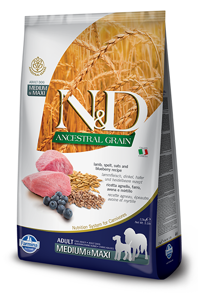 Farmina N&D Ancestral Grain Canine Lamb, Spelt, Oats & Blueberry Adult Medium/Maxi Dry Food
