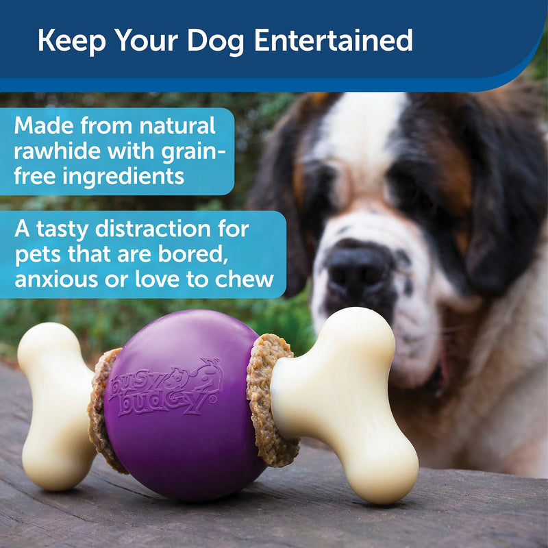 Petsafe Busy Buddy Toys-Bouncy Bone