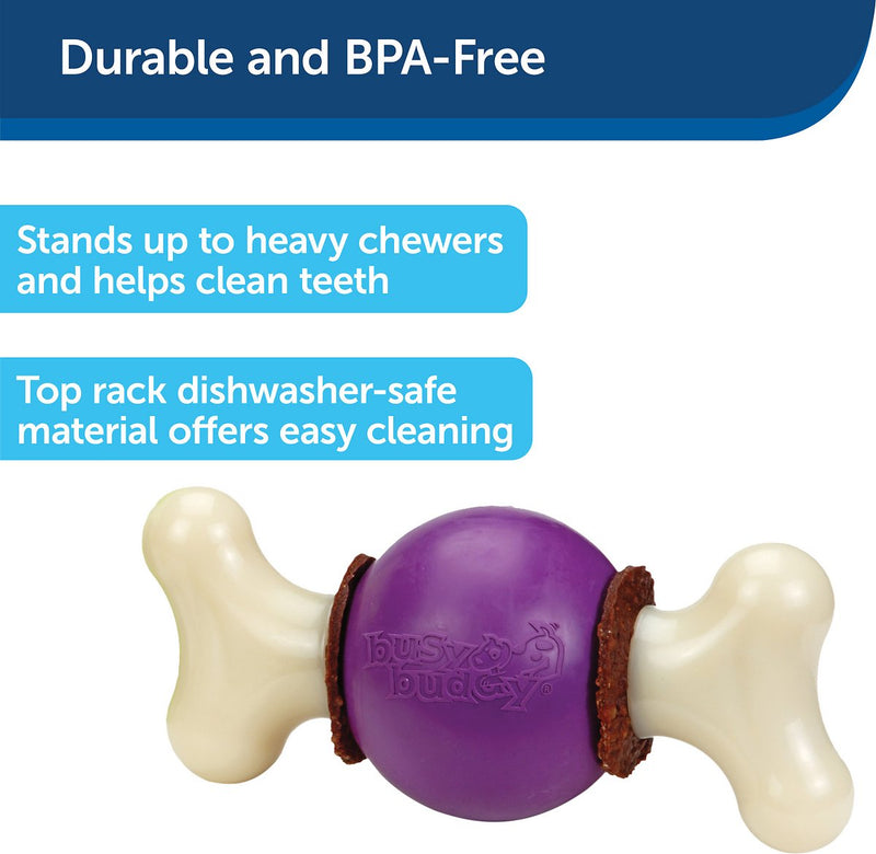 Petsafe Busy Buddy Toys-Bouncy Bone