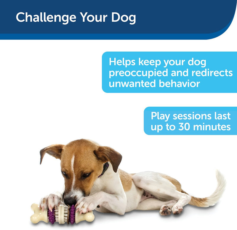 Busy Buddy Bristle Bone Chew Toy