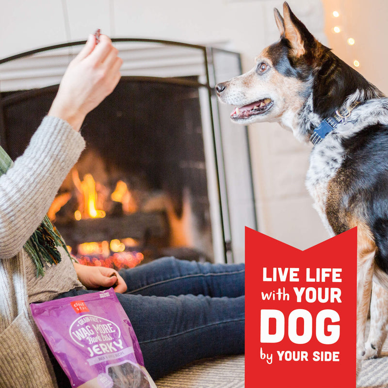 Cloud Star Wag More Grain-Free Duck & Apple Jerky, 10 oz