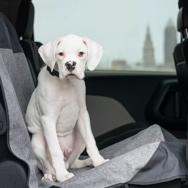 Bergan Bucket Seat Protector