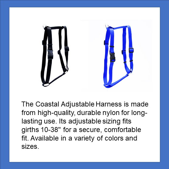 Coastal Adjustable Harnesses in Black and Blue 