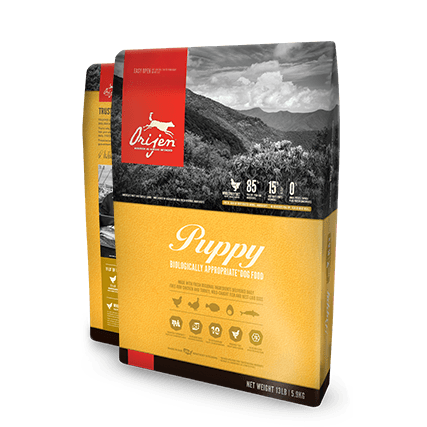 Orijen Puppy Food