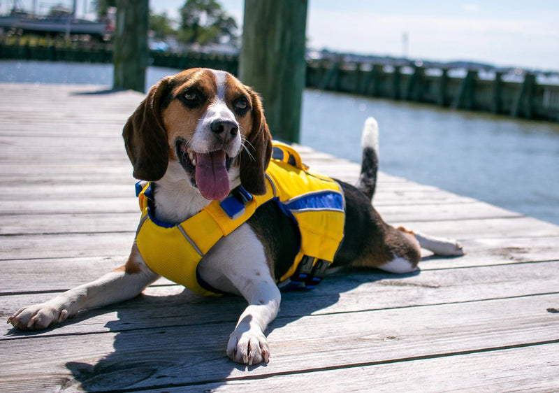 Baydog Monterey Bay Life Jacket, Yellow