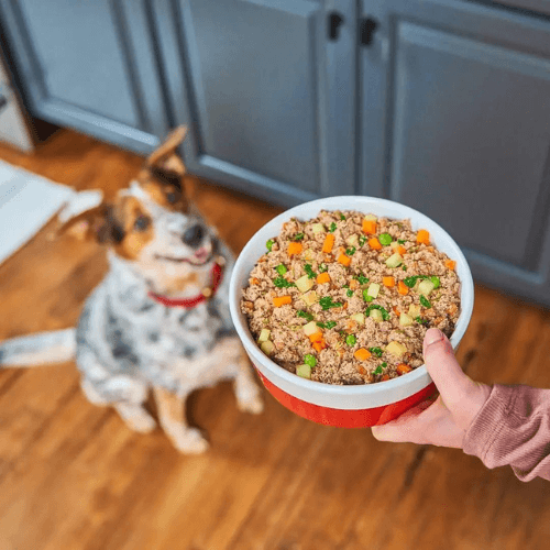 Fresh cooked food for dogs clearance