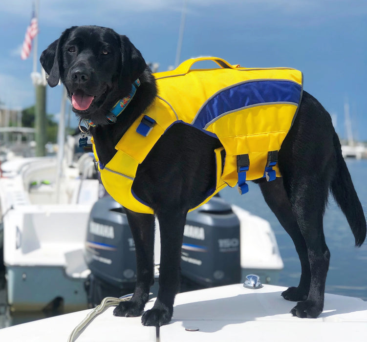 Baydog Monterey Bay Life Jacket, Yellow