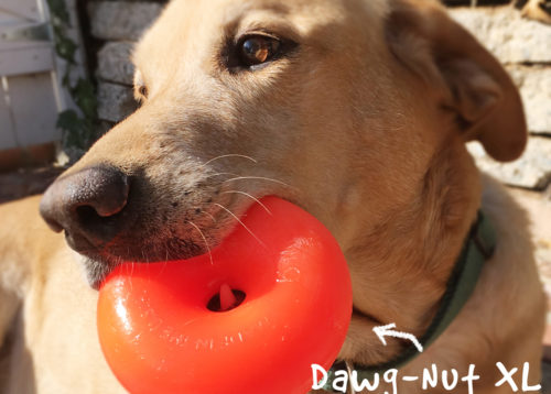 Indestructible Dawg-Nut