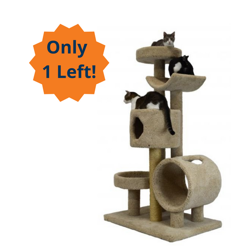 Extra large, sturdy cat furniture fully assembled with platforms, tunnel, and cave with several cats on it