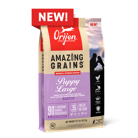 Orijen Amazing Grains Large Breed Puppy Recipe Dog Food