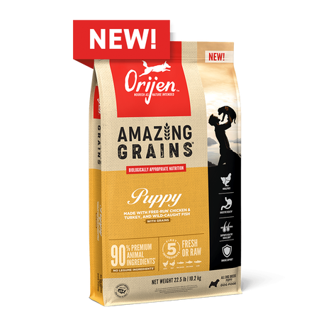 Orijen Amazing Grains Puppy Recipe Dog Food