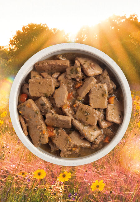 Acana Premium Chunks, Beef Recipe in Broth 12.8 oz