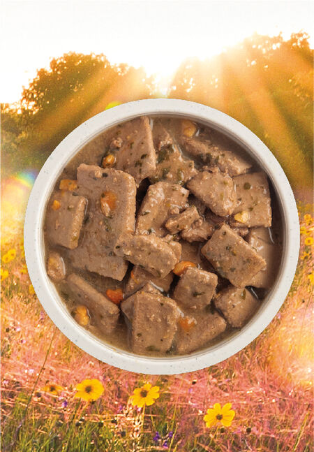 Acana Premium Chunks, Poultry Recipe in Broth 12.8 oz
