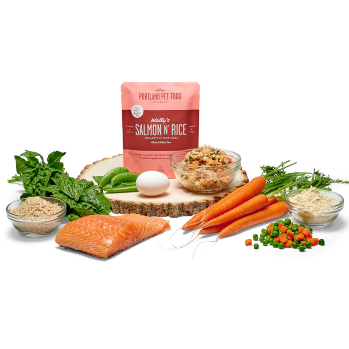 Portland Pet Food - Wally's Salmon N' Rice Homestyle Dog Meal - SINGLE Dog Meal Pouch, 9oz