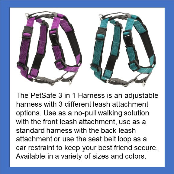 PetSafe 3 in 1 Harness in Purple and Teal 