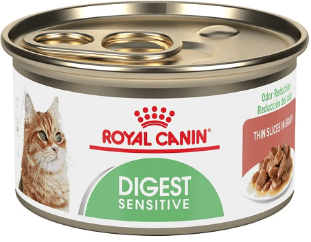 Small can of Royal Canin Digest Sensitive wet cat food. 