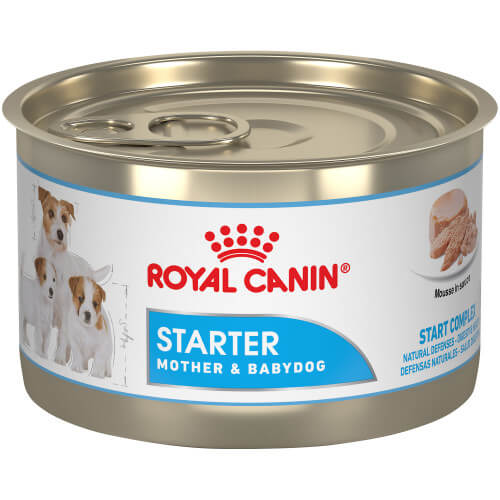 Small can of Royal Canin Starter wet dog food. 