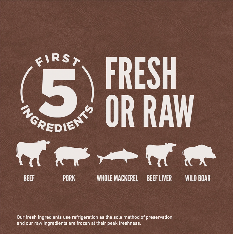 Orijen Grain-Free Regional Red Dry Cat Food