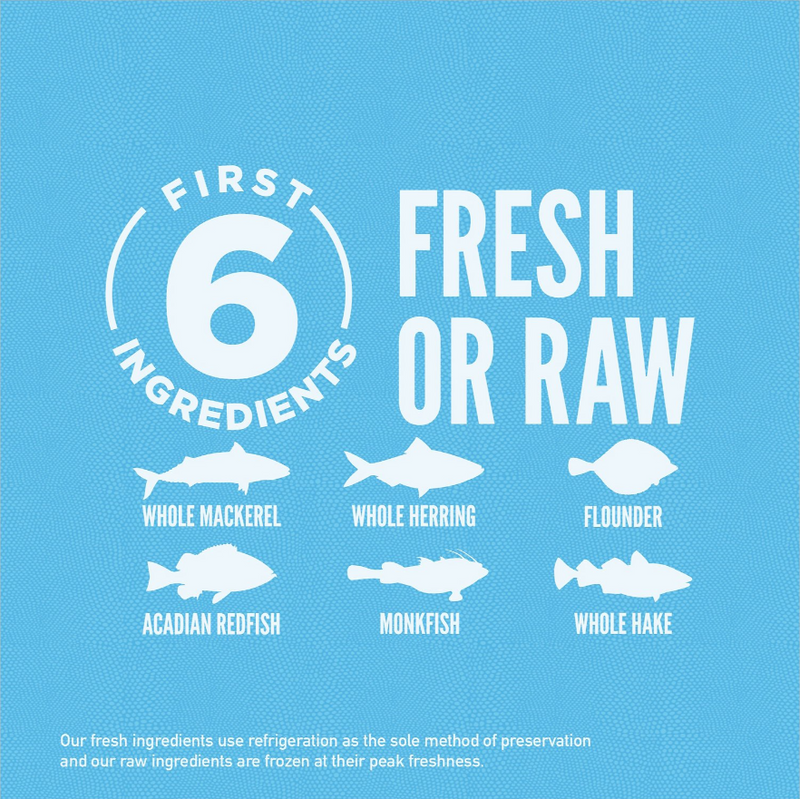 Orijen Grain-Free Six Fish Dry Cat Food