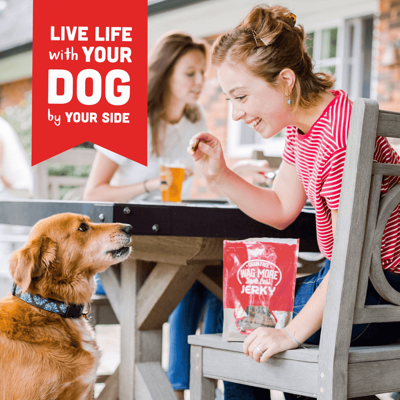 Wag More Bark Less Jerky, BBQ Grilled Turkey, 10 oz